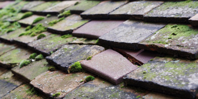 Nant Y Derry roof repair costs